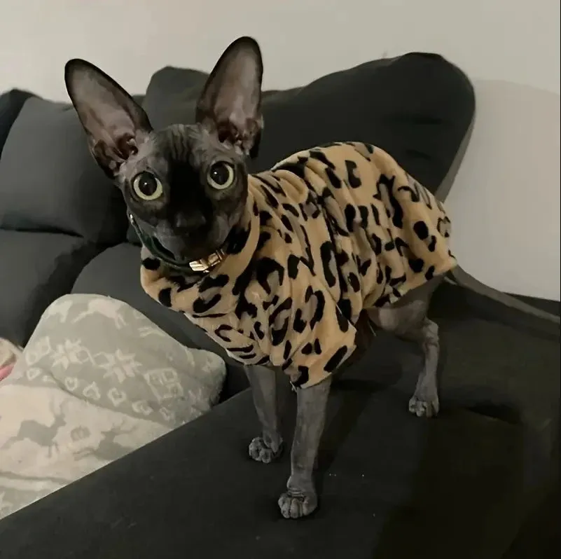 Cozy Double-Sided Fleece Sweater for Hairless Cats