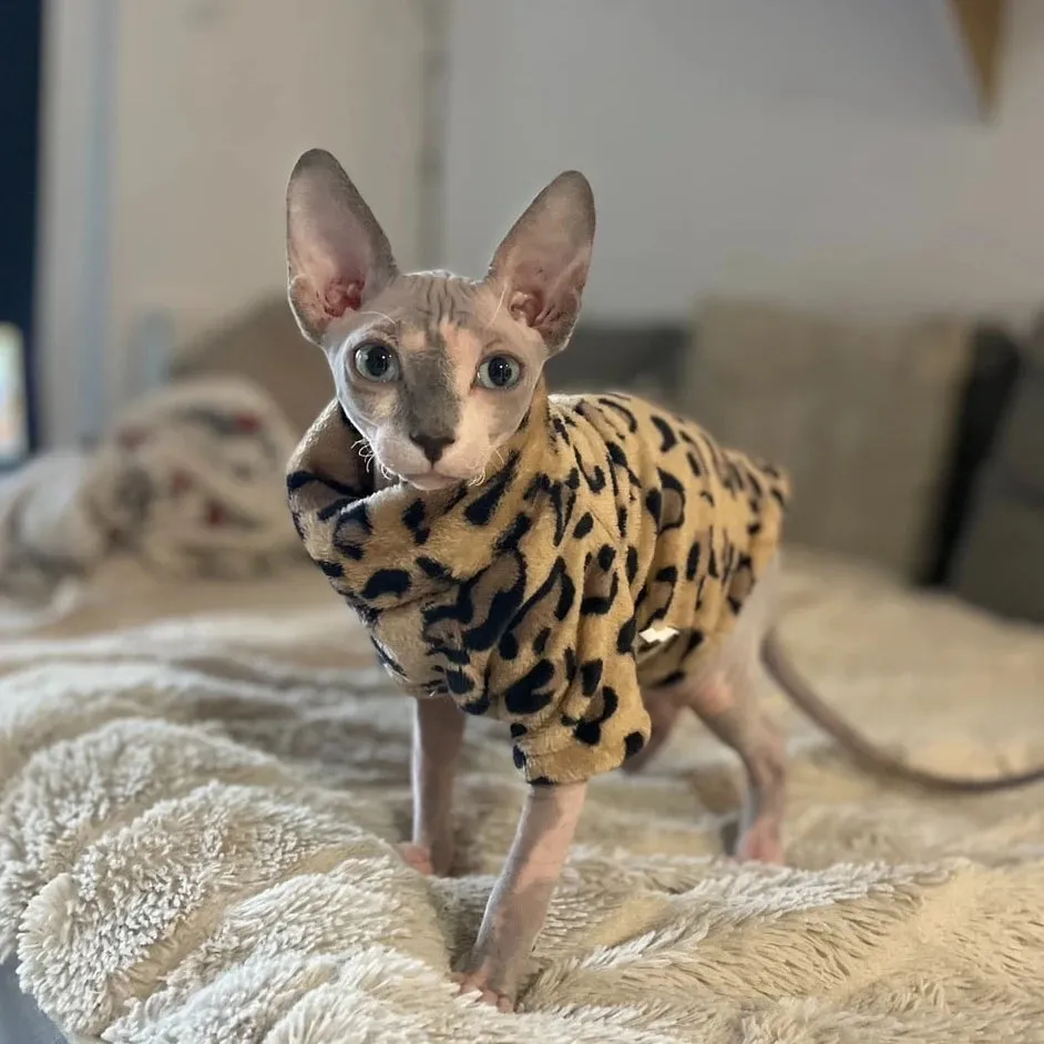 Cozy Double-Sided Fleece Sweater for Hairless Cats