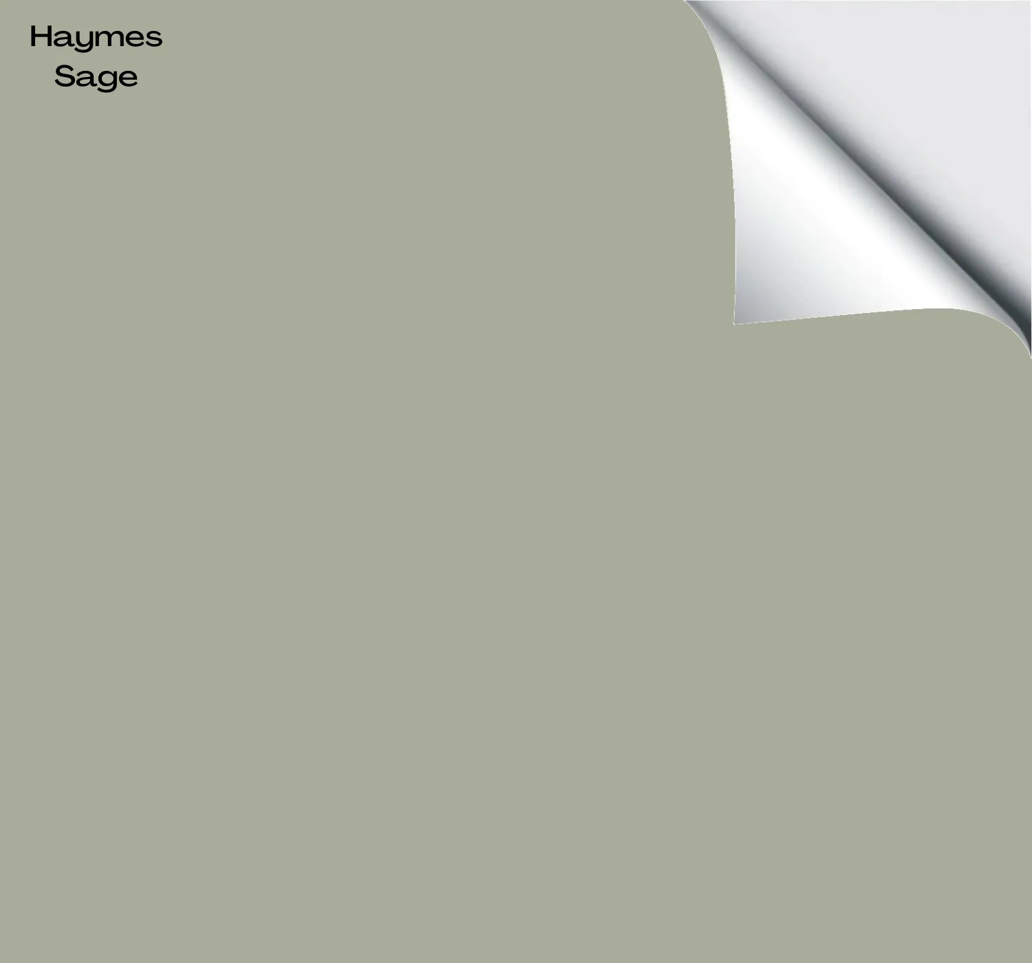 Haymes Sage