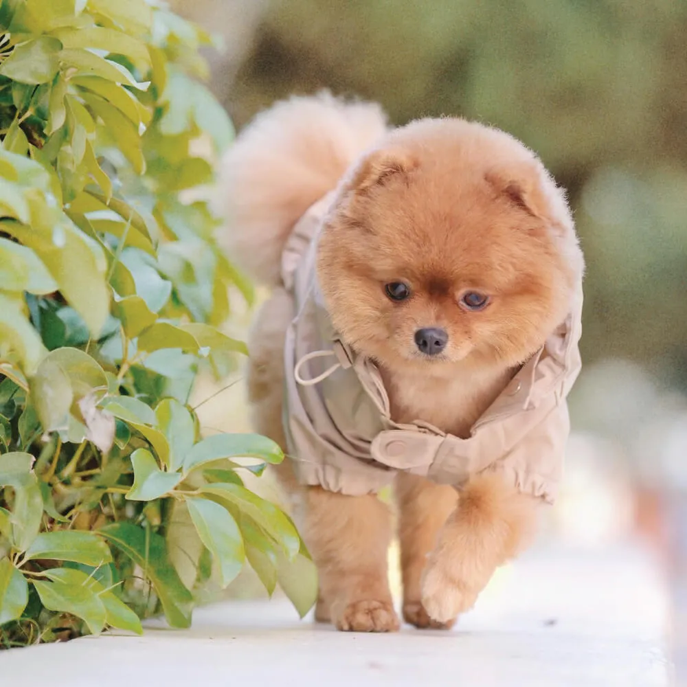 Lambwolf Brooklyn Packable Raincoat