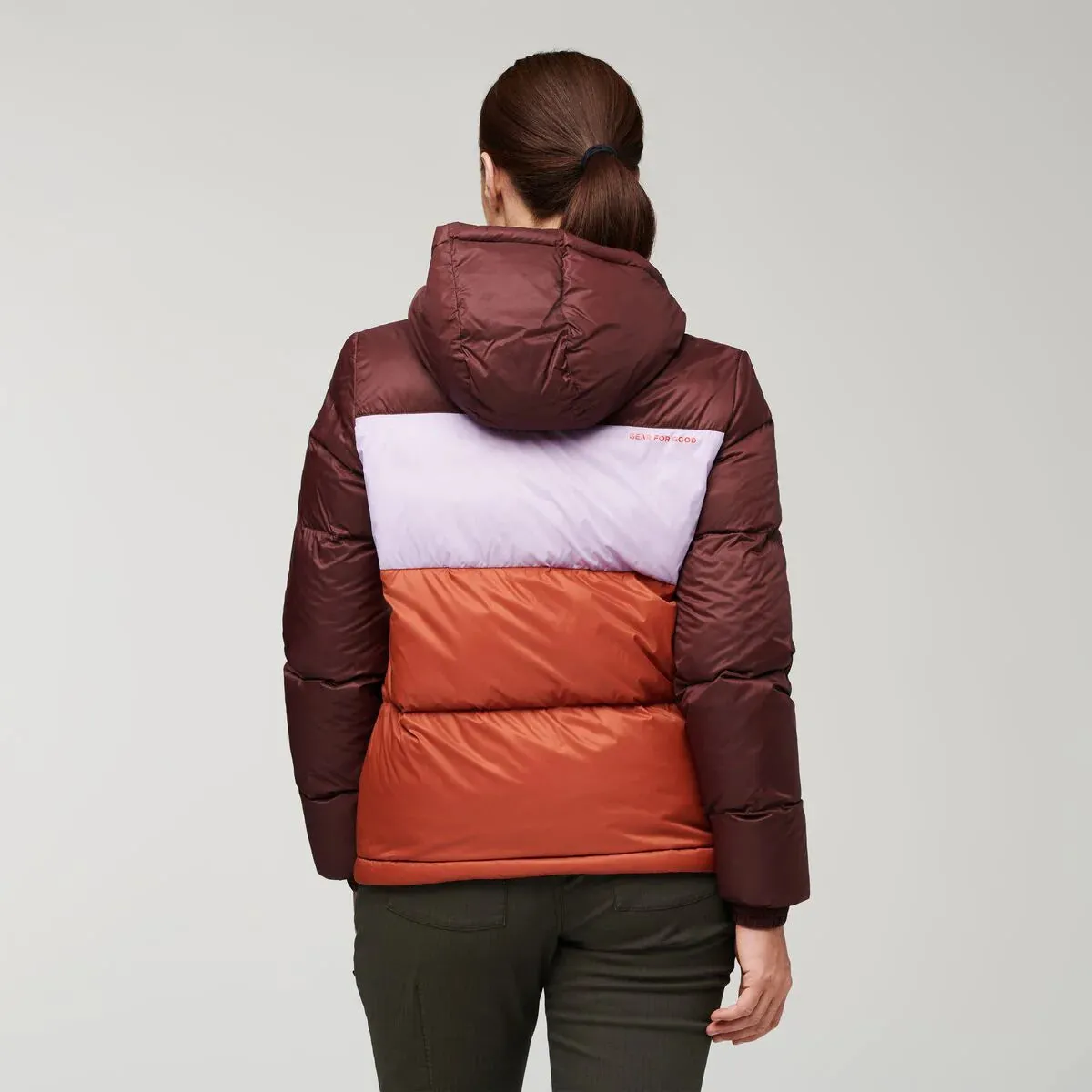 Manteau d'hiver Cotopaxi Solazo Down Hooded Femmes