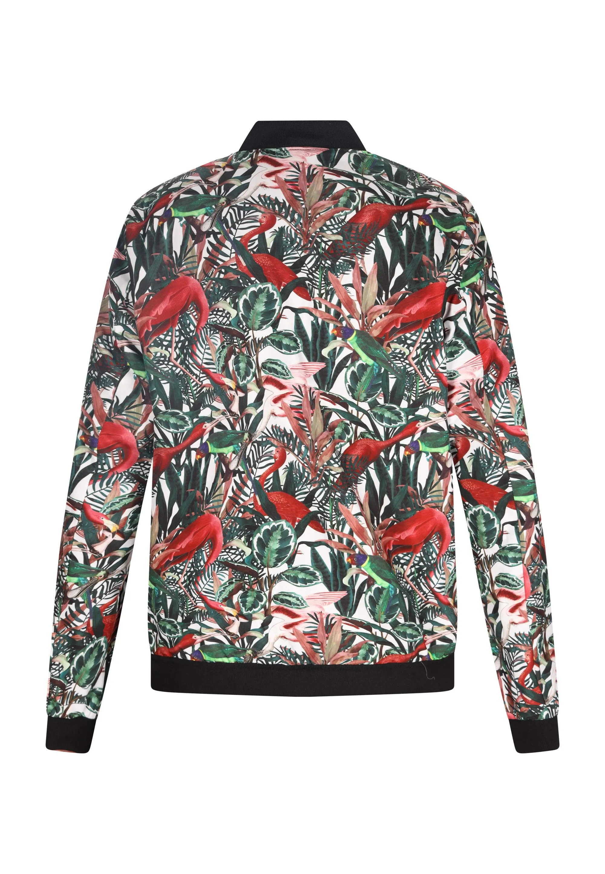 OCY Men's Jacket